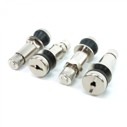 Stainless Steel Bolt-In Valve Stem (4 Pack)