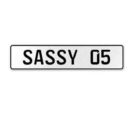 SASSY 05  - White Aluminum Street Sign Mancave Euro Plate Name Door Sign Wall