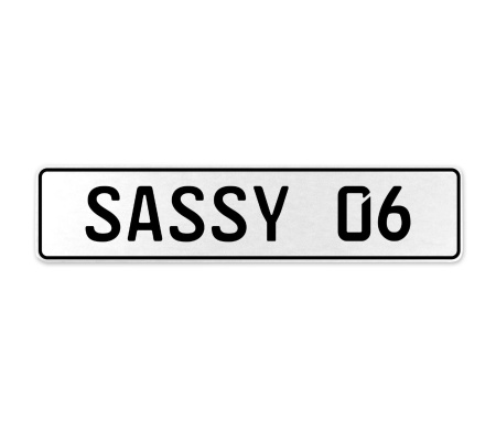 SASSY 06  - White Aluminum Street Sign Mancave Euro Plate Name Door Sign Wall