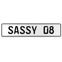 SASSY 08  - White Aluminum Street Sign Mancave Euro Plate Name Door Sign Wall