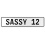 SASSY 12  - White Aluminum Street Sign Mancave Euro Plate Name Door Sign Wall