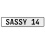 SASSY 14  - White Aluminum Street Sign Mancave Euro Plate Name Door Sign Wall