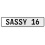 SASSY 16  - White Aluminum Street Sign Mancave Euro Plate Name Door Sign Wall