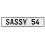 SASSY 54  - White Aluminum Street Sign Mancave Euro Plate Name Door Sign Wall
