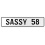 SASSY 58  - White Aluminum Street Sign Mancave Euro Plate Name Door Sign Wall