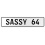 SASSY 64  - White Aluminum Street Sign Mancave Euro Plate Name Door Sign Wall