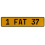 1 FAT 37  - Yellow Aluminum Street Sign Mancave Euro Plate Name Door Sign Wall