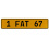 1 FAT 67  - Yellow Aluminum Street Sign Mancave Euro Plate Name Door Sign Wall