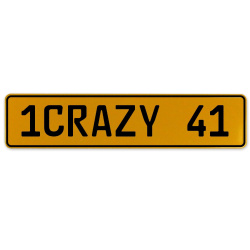 1CRAZY 41  - Yellow Aluminum Street Sign Mancave Euro Plate Name Door Sign Wall