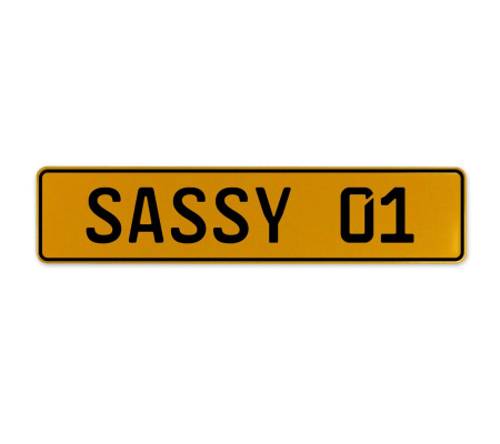SASSY 01  - Yellow Aluminum Street Sign Mancave Euro Plate Name Door Sign Wall