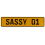 SASSY 01  - Yellow Aluminum Street Sign Mancave Euro Plate Name Door Sign Wall
