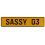 SASSY 03  - Yellow Aluminum Street Sign Mancave Euro Plate Name Door Sign Wall