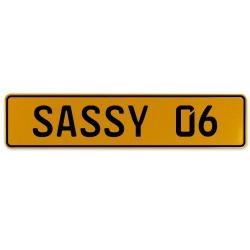 SASSY 06  - Yellow Aluminum Street Sign Mancave Euro Plate Name Door Sign Wall