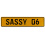 SASSY 06  - Yellow Aluminum Street Sign Mancave Euro Plate Name Door Sign Wall