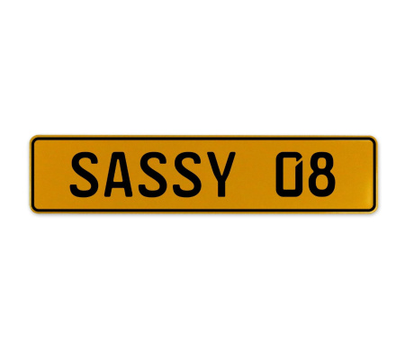 SASSY 08  - Yellow Aluminum Street Sign Mancave Euro Plate Name Door Sign Wall