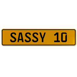 SASSY 10  - Yellow Aluminum Street Sign Mancave Euro Plate Name Door Sign Wall