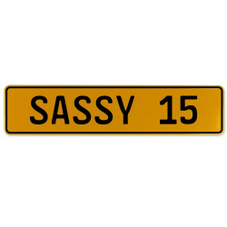 SASSY 15  - Yellow Aluminum Street Sign Mancave Euro Plate Name Door Sign Wall