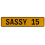 SASSY 15  - Yellow Aluminum Street Sign Mancave Euro Plate Name Door Sign Wall