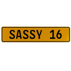 SASSY 16  - Yellow Aluminum Street Sign Mancave Euro Plate Name Door Sign Wall