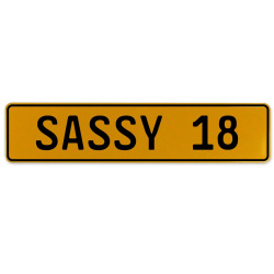 SASSY 18  - Yellow Aluminum Street Sign Mancave Euro Plate Name Door Sign Wall