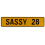 SASSY 28  - Yellow Aluminum Street Sign Mancave Euro Plate Name Door Sign Wall