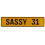 SASSY 31  - Yellow Aluminum Street Sign Mancave Euro Plate Name Door Sign Wall