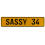 SASSY 34  - Yellow Aluminum Street Sign Mancave Euro Plate Name Door Sign Wall