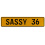 SASSY 36  - Yellow Aluminum Street Sign Mancave Euro Plate Name Door Sign Wall