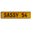 SASSY 54  - Yellow Aluminum Street Sign Mancave Euro Plate Name Door Sign Wall