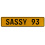 SASSY 93  - Yellow Aluminum Street Sign Mancave Euro Plate Name Door Sign Wall