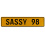 SASSY 98  - Yellow Aluminum Street Sign Mancave Euro Plate Name Door Sign Wall