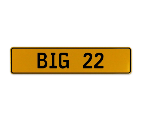 BIG 22  - Yellow Aluminum Street Sign Mancave Euro Plate Name Door Sign Wall