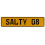 SALTY 08  - Yellow Aluminum Street Sign Mancave Euro Plate Name Door Sign Wall