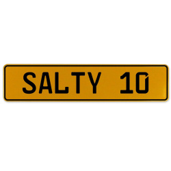 SALTY 10  - Yellow Aluminum Street Sign Mancave Euro Plate Name Door Sign Wall