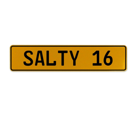 SALTY 16  - Yellow Aluminum Street Sign Mancave Euro Plate Name Door Sign Wall