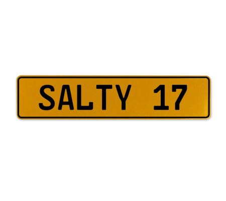 SALTY 17  - Yellow Aluminum Street Sign Mancave Euro Plate Name Door Sign Wall