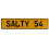 SALTY 54  - Yellow Aluminum Street Sign Mancave Euro Plate Name Door Sign Wall