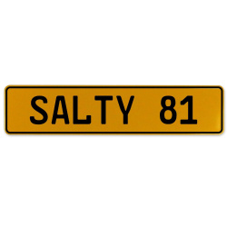 SALTY 81  - Yellow Aluminum Street Sign Mancave Euro Plate Name Door Sign Wall