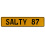 SALTY 87  - Yellow Aluminum Street Sign Mancave Euro Plate Name Door Sign Wall